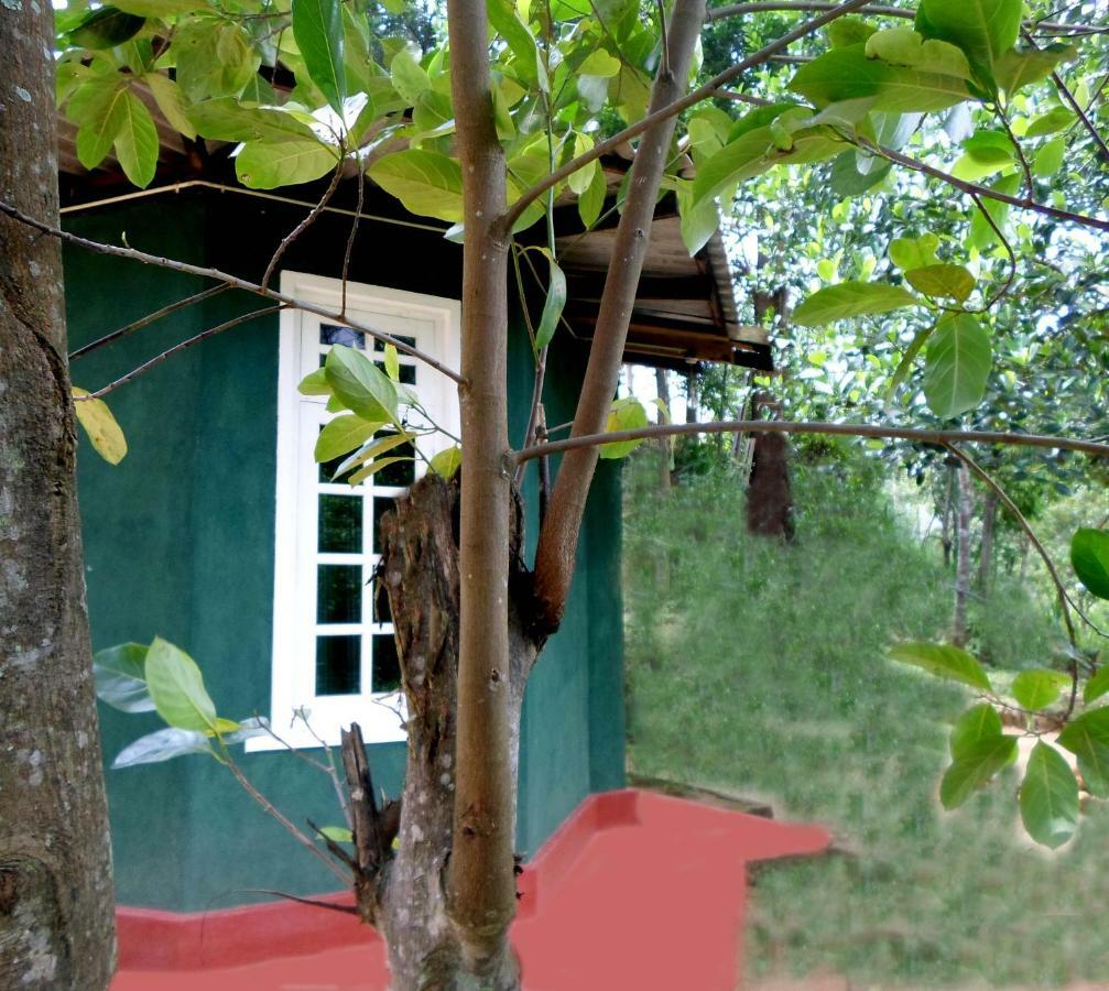 Green Lantern Inn Ella Buitenkant foto